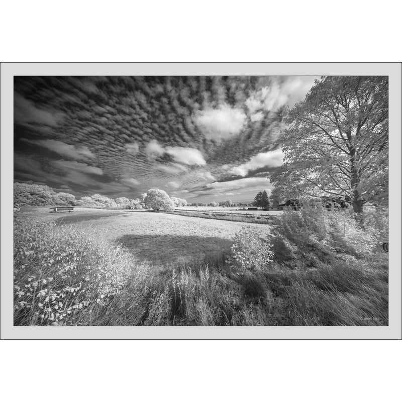 Venus Optics Laowa 10-18mm f/4.5-5.6 Zoom Lens for Leica L