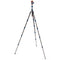 3 Legged Thing Punks Brian 2.0 Carbon Fiber Tripod with AirHed Neo 2.0 Ball Head (Blue)