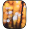 Manfrotto Collapsible Background (4x5', Seascape / Autumn Foliage)