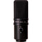 Zoom ZUM-2 USB Microphone