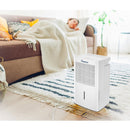 Impecca 20-Pint Dehumidifier E-Star