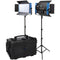 Dracast Kala Plus Series LED2000 Bi-Color LED 2-Light Kit with Travel Case