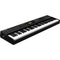 StudioLogic Numa X Piano 73-Key Digital Stage Piano with FATAR TP/110 Keybed