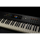 StudioLogic Numa X Piano 73-Key Digital Stage Piano with FATAR TP/110 Keybed