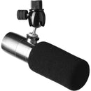 Earthworks ETHOS Broadcast Condenser Microphone (Stainless Steel)