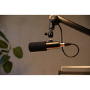 Earthworks ETHOS B Broadcast Condenser Microphone (Matte Black)
