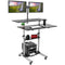 Mount-It! Height-Adjustable Rolling Standing Desk with Dual Monitor Mounts (Silver)