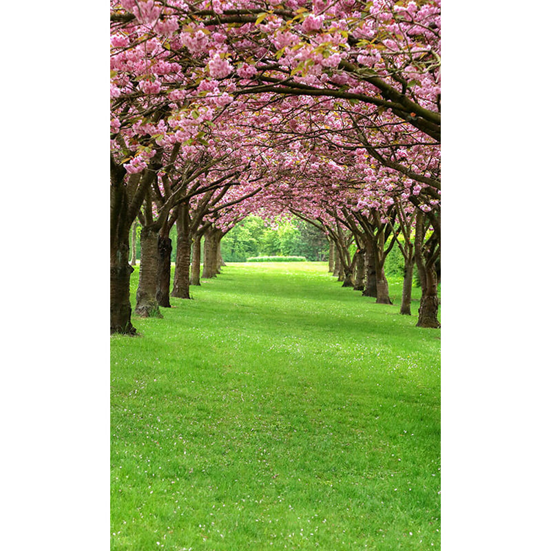Click Props Backdrops Blossom Tree Path Backdrop (9 x 15')