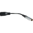 Nanlite DMX Adapter Y Cable for PavoTube II X Series