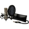 Sontronics STC-2 Large-Diaphragm Condenser Microphone with All-in-One Recording Package (Silver)