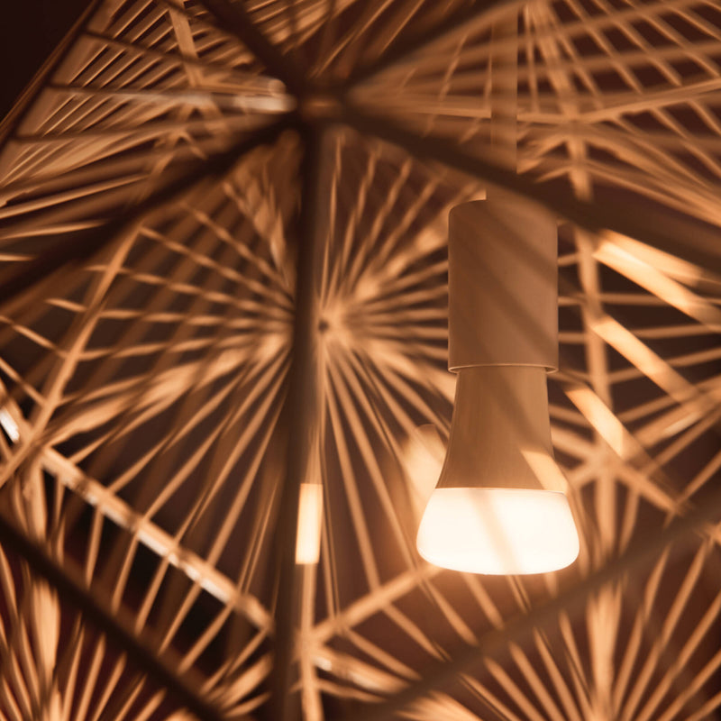 Philips Hue A19 Bulb with Bluetooth (White Ambiance)