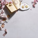 V-FLAT WORLD 24 x 24" Duo-Board Double-Sided Background (Raw Concrete/Vintage Plaster)