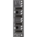 AVPro Edge Dual 18Gb/s HDMI Input Ports with Dual HDMI Loop Out Ports and 8+ Audio Channel Downmix Input Card for Axion-X Chassis