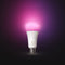 Philips Hue A21 Bulb with Bluetooth (White & Color Ambiance)