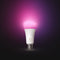Philips Hue A21 Bulb with Bluetooth (White & Color Ambiance)