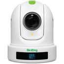 BirdDog Eyes P110 1080p Full NDI PTZ Camera (White)