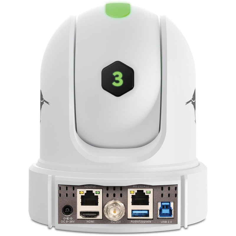 BirdDog Eyes P110 1080p Full NDI PTZ Camera (White)