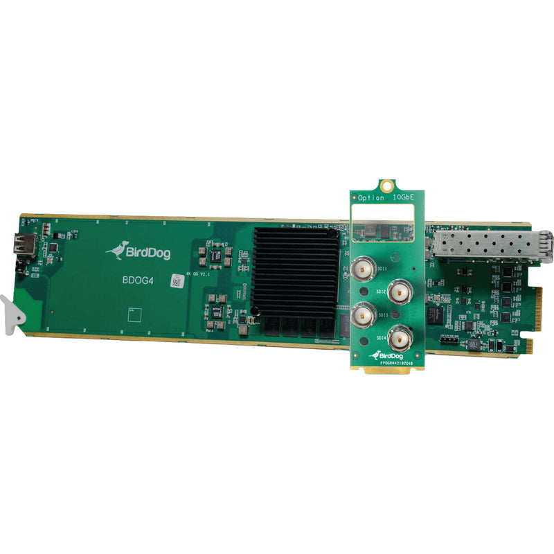 BirdDog openGear 4-Channel NDI Encoder/Decoder