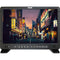 OSEE Megamon 15 HDR Production Monitor with Gold-Mount Kit