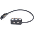 DigitalFoto Solution Limited D-Tap to 0B 2-Pin Cable with 1/4"-20 Screws (11.8")