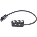 DigitalFoto Solution Limited D-Tap to 0B 2-Pin Cable with 1/4"-20 Screws (11.8")