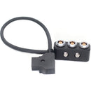 DigitalFoto Solution Limited D-Tap to 0B 2-Pin Cable with 1/4"-20 Screws (11.8")
