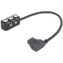 DigitalFoto Solution Limited D-Tap to 0B 2-Pin Cable with 1/4"-20 Screws (11.8")