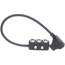 DigitalFoto Solution Limited D-Tap to 0B 2-Pin Cable with 1/4"-20 Screws (11.8")