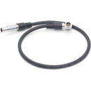 DigitalFoto Solution Limited Right-Angle to Straight 16-Pin LEMO Cable for RED Monitor (23.6")