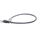 DigitalFoto Solution Limited Right-Angle to Straight 16-Pin LEMO Cable for RED Monitor (23.6")