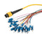 L-COM MPM24OS2-09LCR-10 MPM24OS2-09LCR-10 Fibre Cord MPO Plug TO LC 24FIBRES10M