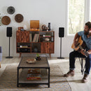 SANUS Speaker Stand for Sonos Five & PLAY:5 Speakers (Black)