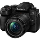 Panasonic Lumix G95 Hybrid Mirrorless Camera with 12-60mm Lens