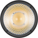 Godox Litemons LC30Bi Bi-Color LED Light