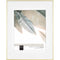 MCS Framatic Fineline Frame with 11 x 14" Glass & 8 x 10" Mat (Brass)