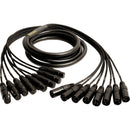 Mogami Gold 8-Channel XLR Male to XLR Female Audio Snake Cable (30')