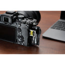 Lexar 160GB Professional CFexpress Type A Card GOLD Series