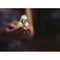 Lensbaby Fixed Body with Creative Bokeh Optic for Nikon F