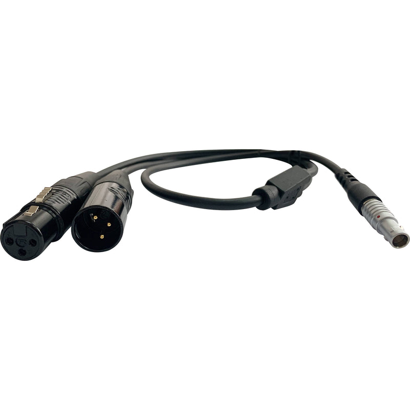 iFootage DMX 3-Pin Adapter Y Cable (27.7")