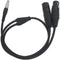 iFootage DMX 3-Pin Adapter Y Cable (27.7")