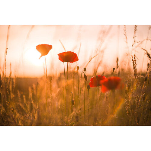 Meyer-Optik Gorlitz Biotar 58mm f/1.5 II Lens for Sony E