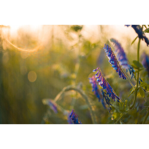 Meyer-Optik Gorlitz Biotar 58mm f/1.5 II Lens for Sony E