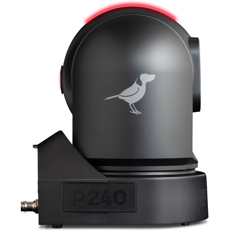 BirdDog P240 40X Full NDI PTZ Camera with HDMI/3G-SDI (Black)