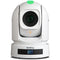 BirdDog P240 40X Full NDI PTZ Camera with HDMI/3G-SDI (White)