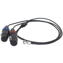 DigitalFoto Solution Limited 3-Pin XLR Female to 5-Pin 2-Channel Audio Cable for ARRI ALEXA Mini (1.6')