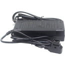 DigitalFoto Solution Limited V-Mount Battery Power Charger with D-Tap (2')