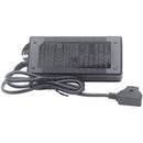 DigitalFoto Solution Limited V-Mount Battery Power Charger with D-Tap (2')