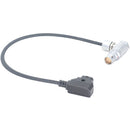 DigitalFoto Solution Limited D-Tap to 8-Pin LEMO Power Cable for ARRI ALEXA Mini LF & AMIRA (1.6')