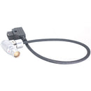 DigitalFoto Solution Limited D-Tap to 8-Pin LEMO Power Cable for ARRI ALEXA Mini LF & AMIRA (1.6')