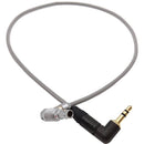 DigitalFoto Solution Limited 5-Pin LEMO to 3.5mm Audio Cable for ARRI ALEXA Mini (11.8")